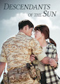 Descendants of the Sun - Season 1