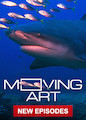 Moving Art - Season 3