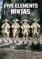 Five Elements Ninjas