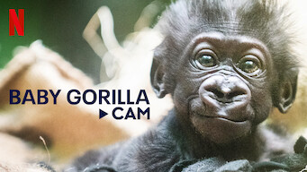 Baby Gorilla Cam (2023)