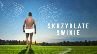 Skrzydlate swinie (2010)