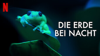 Die Erde bei Nacht (2020)