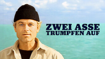 Zwei Asse trumpfen auf (1981)