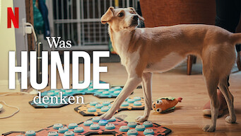 Was Hunde denken (2024)