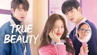 Cha Eun woo Movies and TV Shows on Netflix Flixable