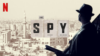 The Spy (2019)