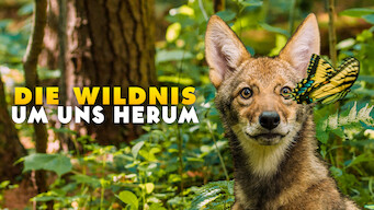 Die Wildnis um uns herum (2018)